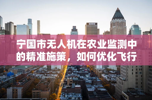 宁国市无人机在农业监测中的精准施策，如何优化飞行路径以提高效率？