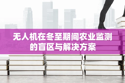 无人机在冬至期间农业监测的盲区与解决方案