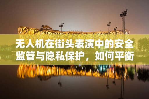 无人机在街头表演中的安全监管与隐私保护，如何平衡艺术自由与公共安全？