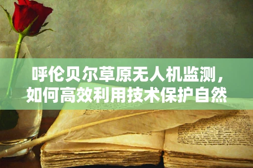 呼伦贝尔草原无人机监测，如何高效利用技术保护自然生态？