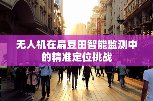 无人机在扁豆田智能监测中的精准定位挑战