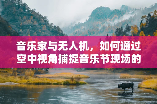 音乐家与无人机，如何通过空中视角捕捉音乐节现场的独特魅力？