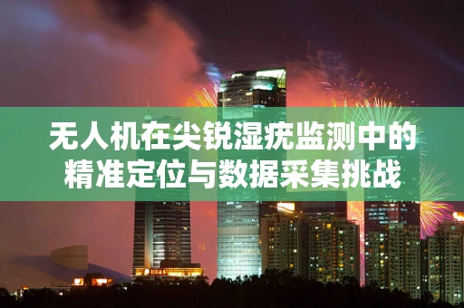 无人机在尖锐湿疣监测中的精准定位与数据采集挑战