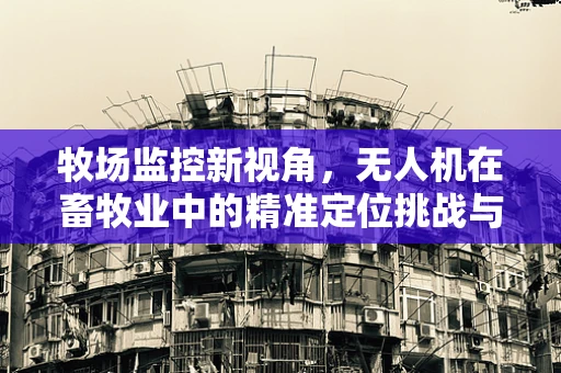 牧场监控新视角，无人机在畜牧业中的精准定位挑战与解决方案