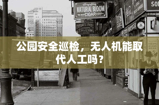 公园安全巡检，无人机能取代人工吗？