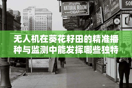 无人机在葵花籽田的精准播种与监测中能发挥哪些独特作用？