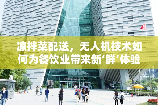 凉拌菜配送，无人机技术如何为餐饮业带来新‘鲜’体验？
