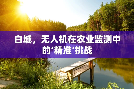 白城，无人机在农业监测中的‘精准’挑战