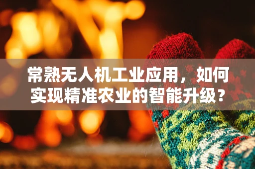 常熟无人机工业应用，如何实现精准农业的智能升级？