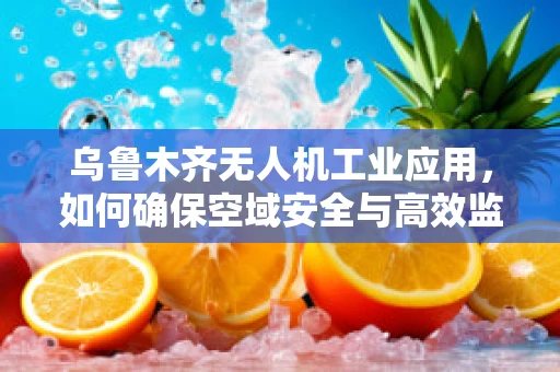 乌鲁木齐无人机工业应用，如何确保空域安全与高效监管？