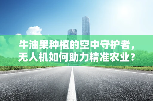 牛油果种植的空中守护者，无人机如何助力精准农业？