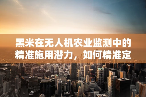 黑米在无人机农业监测中的精准施用潜力，如何精准定位与效果评估？
