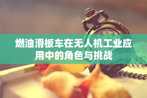 燃油滑板车在无人机工业应用中的角色与挑战