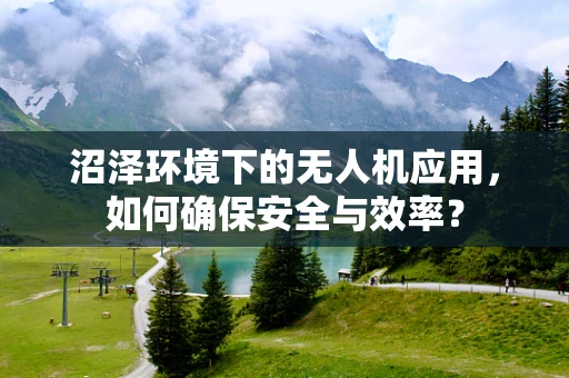 沼泽环境下的无人机应用，如何确保安全与效率？