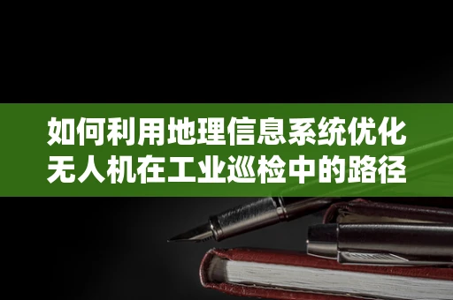 如何利用地理信息系统优化无人机在工业巡检中的路径规划？