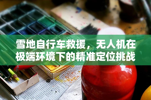 雪地自行车救援，无人机在极端环境下的精准定位挑战