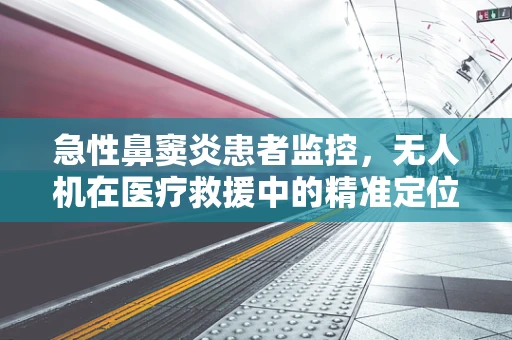 急性鼻窦炎患者监控，无人机在医疗救援中的精准定位挑战