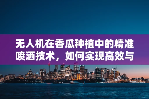 无人机在香瓜种植中的精准喷洒技术，如何实现高效与环保的平衡？