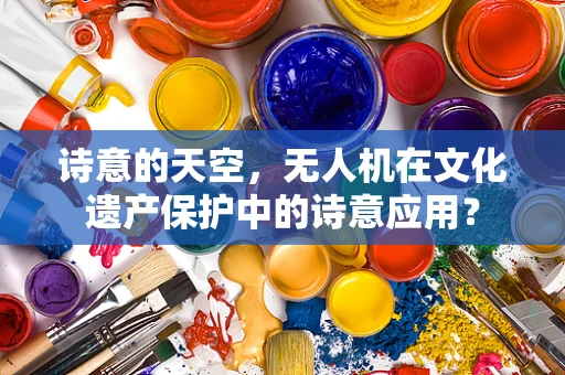 诗意的天空，无人机在文化遗产保护中的诗意应用？