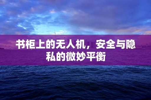 书柜上的无人机，安全与隐私的微妙平衡