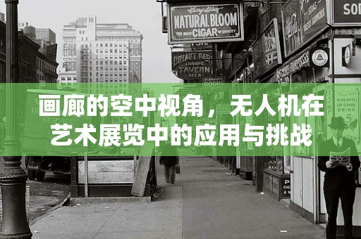 画廊的空中视角，无人机在艺术展览中的应用与挑战