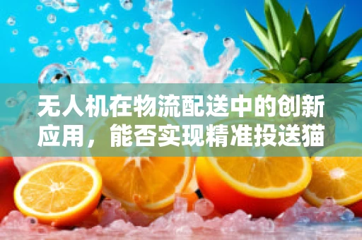 无人机在物流配送中的创新应用，能否实现精准投送猫粮？