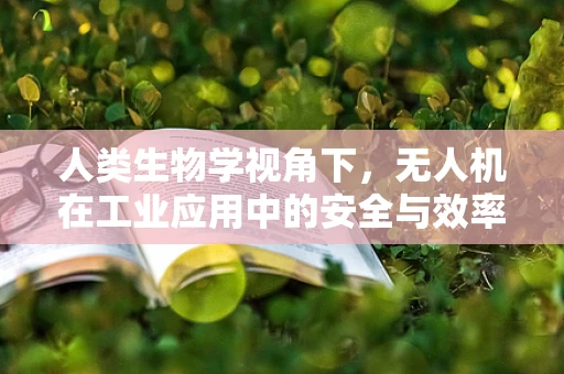 人类生物学视角下，无人机在工业应用中的安全与效率平衡如何实现？
