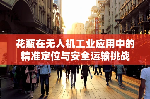 花瓶在无人机工业应用中的精准定位与安全运输挑战