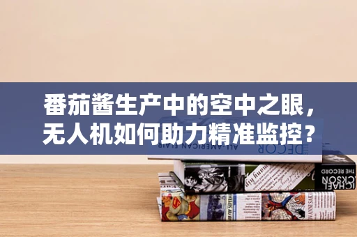 番茄酱生产中的空中之眼，无人机如何助力精准监控？