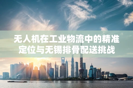 无人机在工业物流中的精准定位与无锡排骨配送挑战