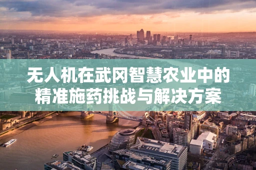无人机在武冈智慧农业中的精准施药挑战与解决方案