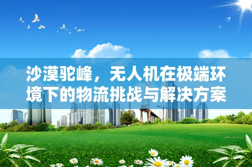 沙漠驼峰，无人机在极端环境下的物流挑战与解决方案？