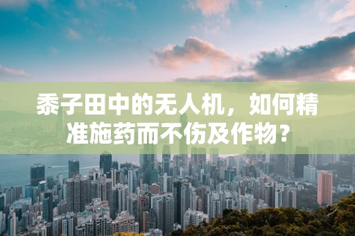黍子田中的无人机，如何精准施药而不伤及作物？