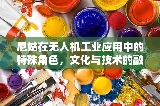 尼姑在无人机工业应用中的特殊角色，文化与技术的融合挑战