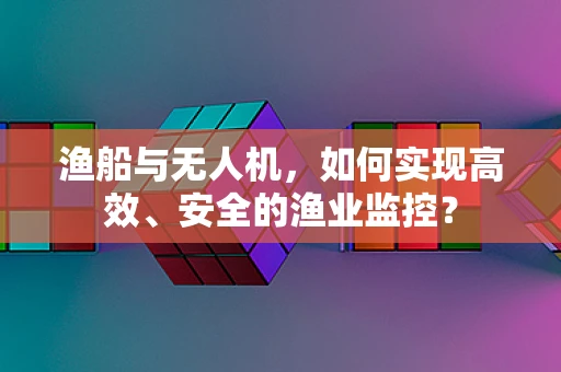 渔船与无人机，如何实现高效、安全的渔业监控？