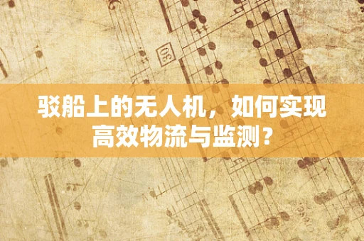 驳船上的无人机，如何实现高效物流与监测？
