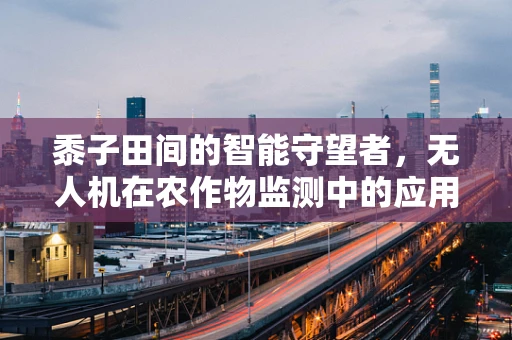 黍子田间的智能守望者，无人机在农作物监测中的应用挑战