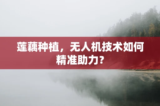莲藕种植，无人机技术如何精准助力？