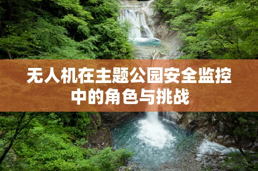 无人机在主题公园安全监控中的角色与挑战