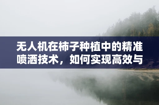 无人机在柿子种植中的精准喷洒技术，如何实现高效与环保的平衡？