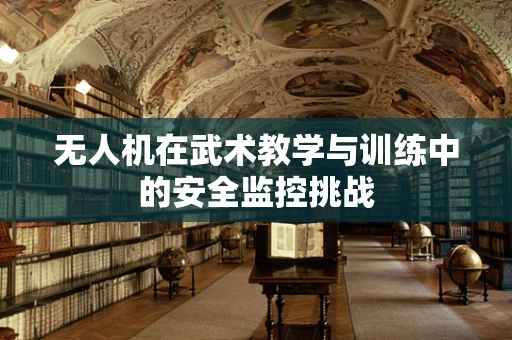 无人机在武术教学与训练中的安全监控挑战