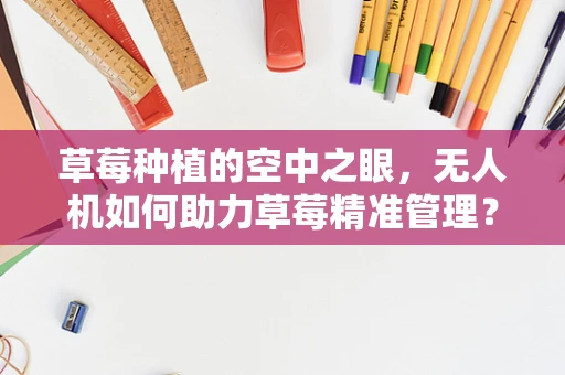草莓种植的空中之眼，无人机如何助力草莓精准管理？