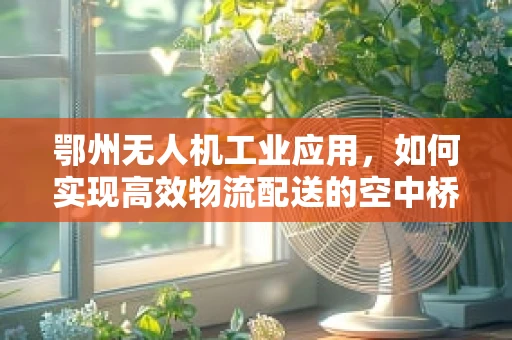 鄂州无人机工业应用，如何实现高效物流配送的空中桥梁？