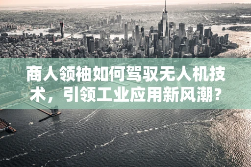 商人领袖如何驾驭无人机技术，引领工业应用新风潮？