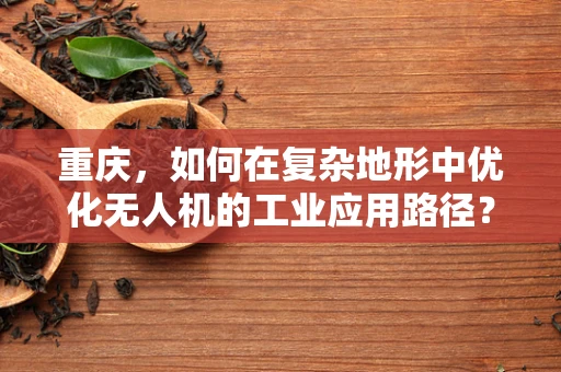重庆，如何在复杂地形中优化无人机的工业应用路径？