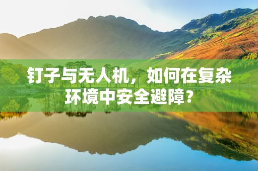 钉子与无人机，如何在复杂环境中安全避障？