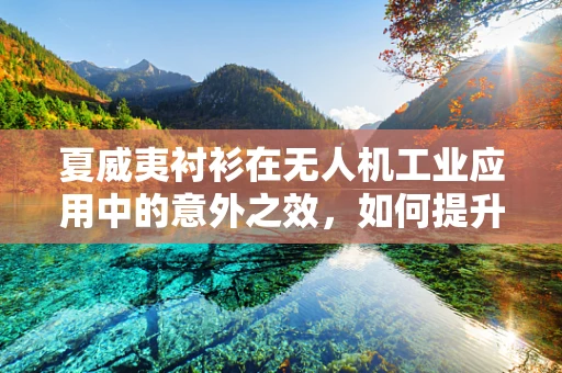 夏威夷衬衫在无人机工业应用中的意外之效，如何提升团队凝聚力？