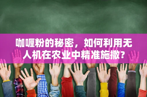 咖喱粉的秘密，如何利用无人机在农业中精准施撒？