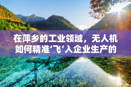 在萍乡的工业领域，无人机如何精准‘飞’入企业生产的心脏地带？