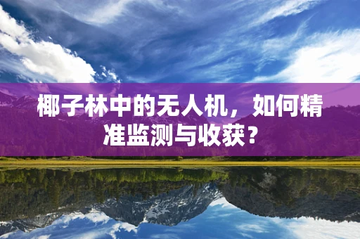 椰子林中的无人机，如何精准监测与收获？